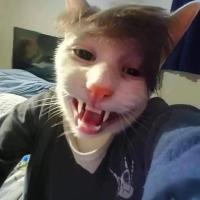 reneev2