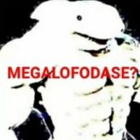 1umdois2