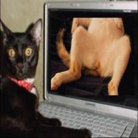 fatdickcious