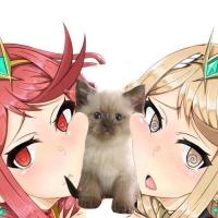 Hentai67