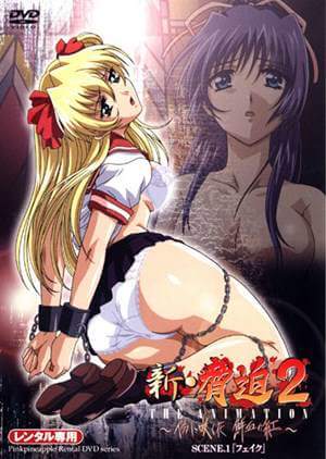 Assistir hentai Shin Kyouhaku 2